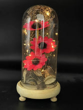 Saffron Pink Flower LED Dome